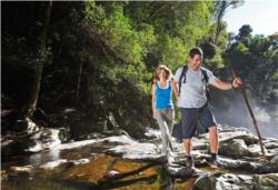 ATTRACTIONS AND ACTIVITIES IN AUSTRALIA AND NEW ZEALAND (Chinese Version)