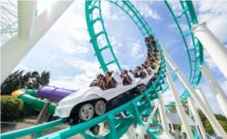 1 Day Dreamworld Ticket